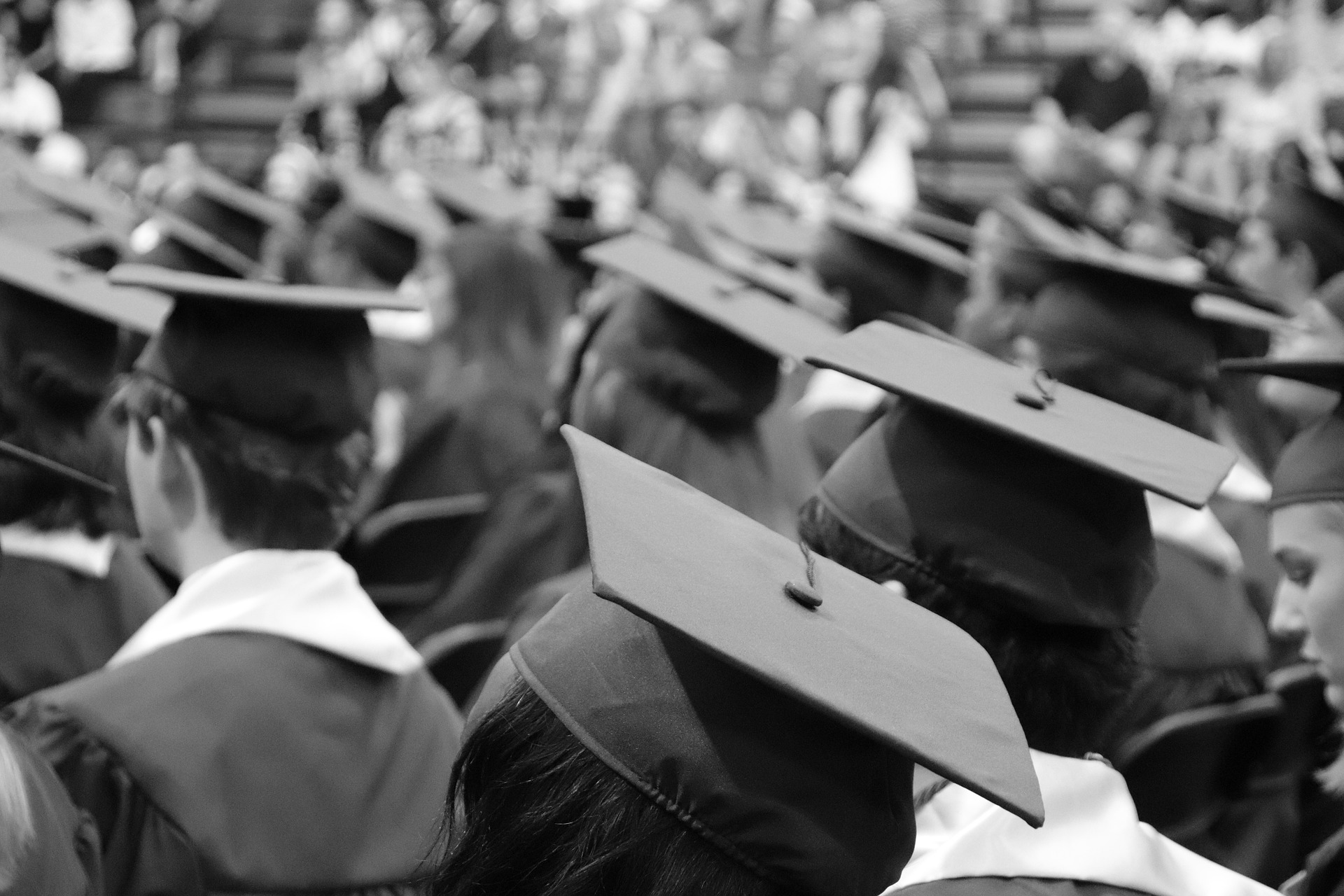 stampa tesi di laurea a Cagliari